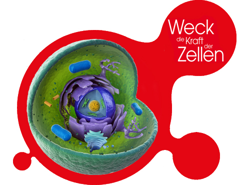 Weck die Kraft der Zelle